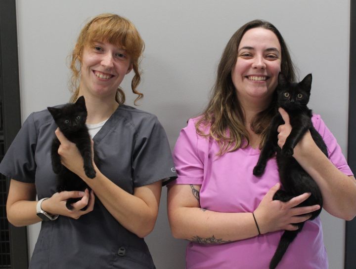 Veterinary Jobs in Richmond KY