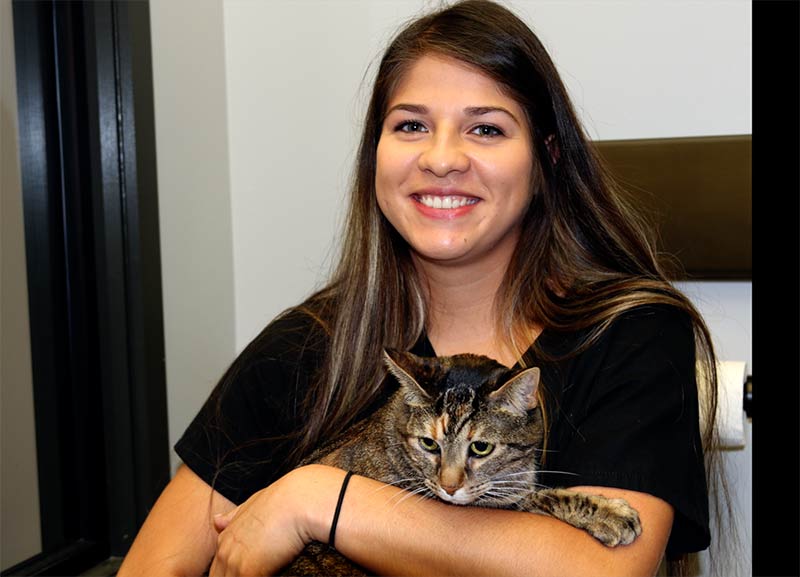 Veterinary Jobs in Richmond KY